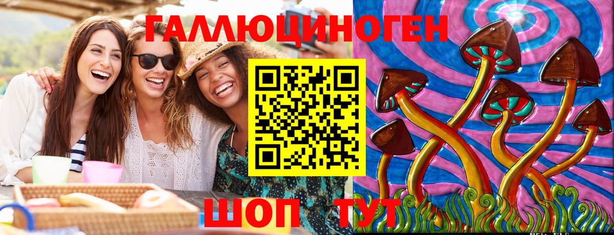 закладки  Вход с VPN  Рассказово  Галлюциногенные грибы мухоморы  Псилоцибиновые грибы Psilocybe 