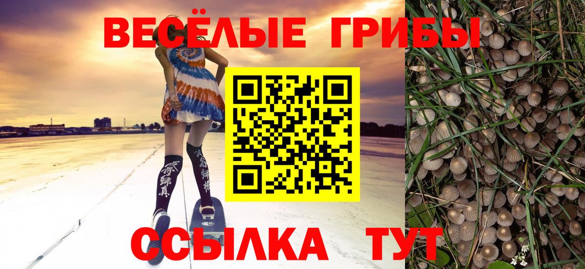 Псилоцибиновые грибы ЛСД Рассказово