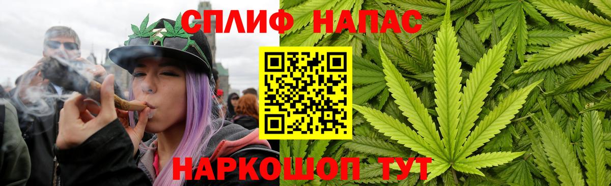 МАРИХУАНА план Рассказово